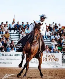 C9C9A88B-A45F-4C9E-B4A8-98AC6DDBD6E4