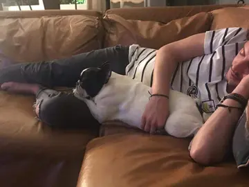 Manuel Carrasco duerme junto a su Lola en una de las imágenes subida por el propio artista en las redes sociales