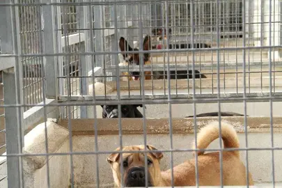 EC514D21-DADE-4AA0-92E2-ED0B238B6905