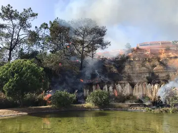 58016864-2F73-4338-953A-9CFDF6419E6B