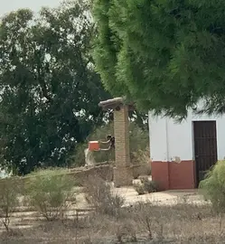 Casa de los Prácticos del Puerto, en Mazagón.