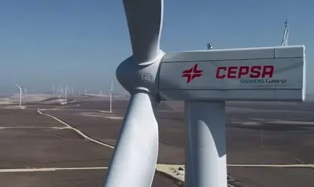 Parque eólico de Cepsa