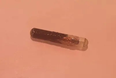 Microchip encontrado en el interior del jamón