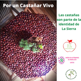 Imagen de la campaña "Por un castañar vivo"