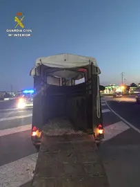 B611AD66-1E7F-4E9D-9F61-7D9F46F73FD0