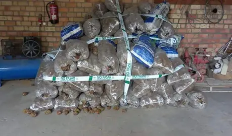 52B90C4B-C7C3-4B22-B96B-4D4DC07013BC