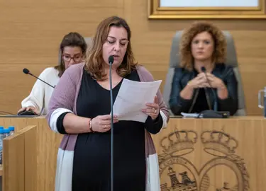 Pleno Ordinario Diputación