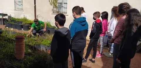 Actividades para la infancia