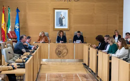 Pleno de la Diputación