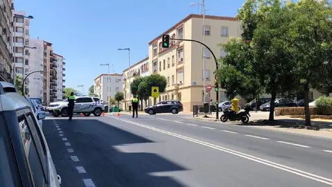 Avenida Federico Molina