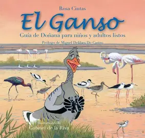 315440479_944257946549270_9184619540284773858_n