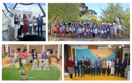 Actividades de la Fundación