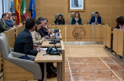 Pleno Diputación de Huelva