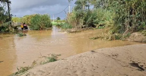Gibraleon.-arroyo-fuentesala