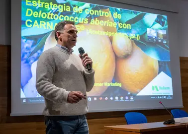 Mesa explicativa sobre cítricos