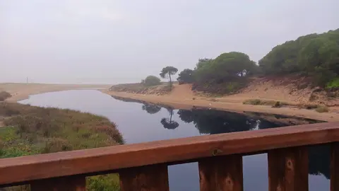 Estado esta mañana de las aguas del Caño de la Culata (Foto: P. Cano)