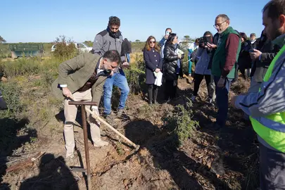 Actividad medioambiental