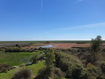 Panorámica de la zona de Doñana