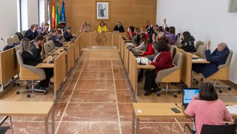 Pleno de la Diputación