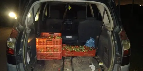Una de las cargas detectadas antes de su salida