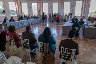 Pleno de la Diputación celebrado en Beturia