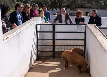 Visita a las instalaciones de Huerto Ramírez