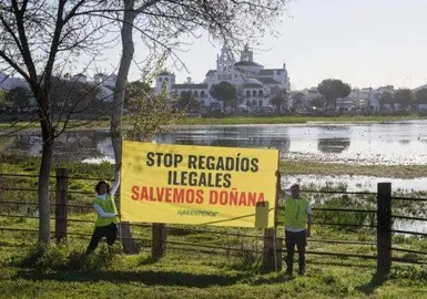 Pancarta de Greenpeace