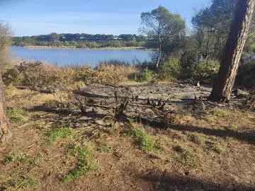 Cenizas de observatorio Estero