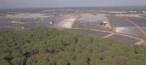 Regadíos e invernaderos en el entorno de Doñana