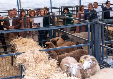 Recinto de la Feria Ganadera