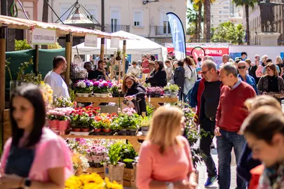 Mercado de las Flores en la Plaza de las Monjas