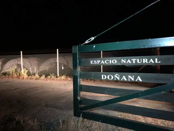 Límite de Doñana, con regadíos de fresa a las puertas