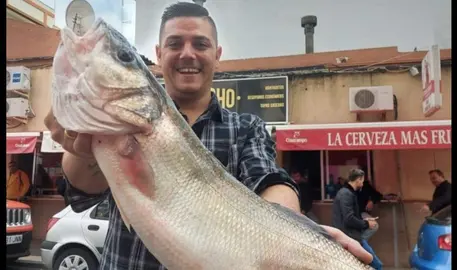 Con una buena corvina