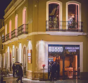 Burro_Huelva_Web_065 (1)