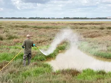 Fumigación en las marismas onubenses por parte del Servicio de Control de Plagas de Diputación