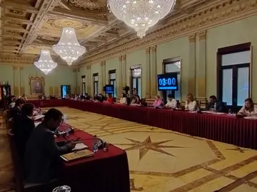 &Uacute;ltimo pleno del mandato