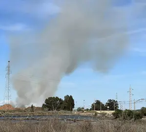 Humareda procedente del incendio de ENCE