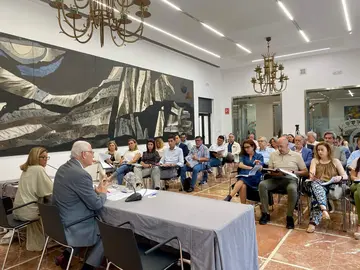 Pleno del CESpH celebrado en la Diputación