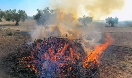 Quemas agr&iacute;colas
