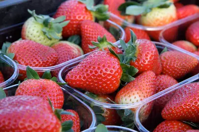 Envases tarrinas con fresas