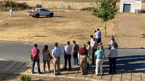 Jornadas Servicio Control Plagas 