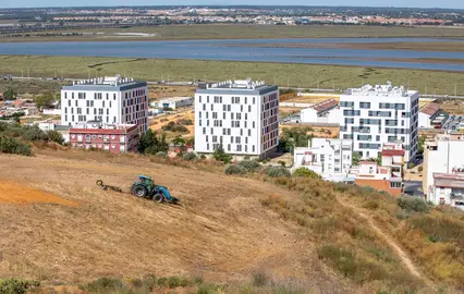 Limpieza Solares Laderas del Cabezo del Conquero