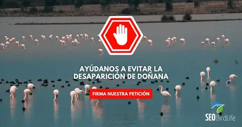 FIRMA-DONANA