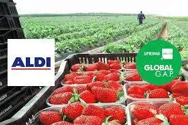 Aldi campaña