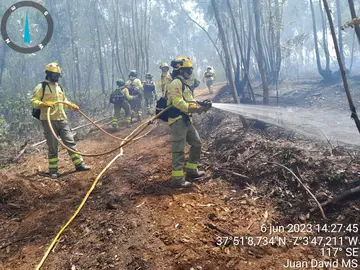 Efectivos del Infoca trabajando en la zona