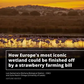 Título de la investigación