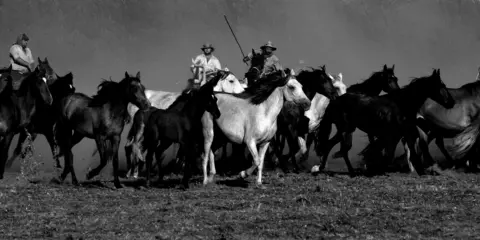 355655551_665797218920408_1155408218398210294_n