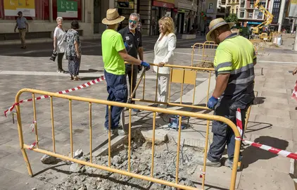 Miranda visita las nuevas plantaciones en La Placeta