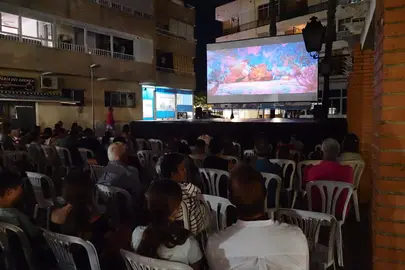 Proyecciones en Palos