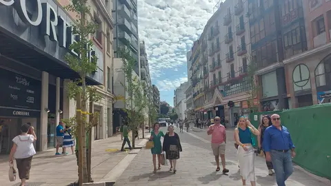 Zona de La Placeta con los árboles recién plantados
